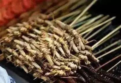 农村这种野货一斤能卖4000元,300元一斤农村常见的东西每家都有