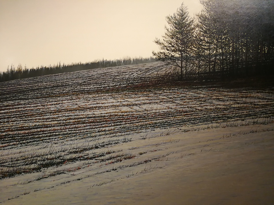 豆瓣日记:20171122中国美术馆：本想看白石，却意外收获了一箩筐的白俄