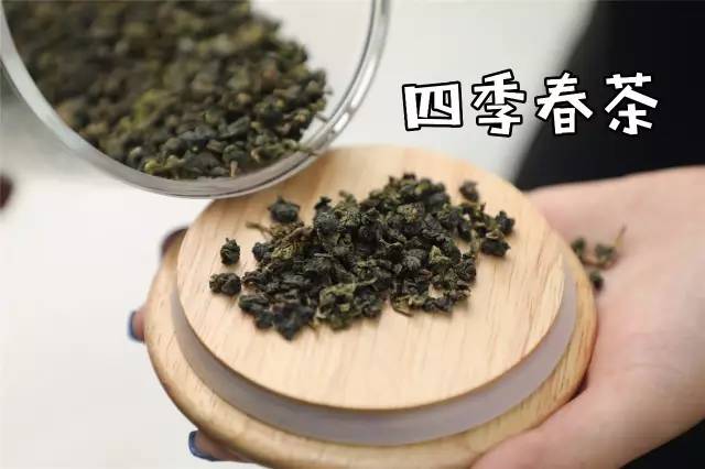 「青粉福利」火遍全国的梵茶免费喝，还不快来！