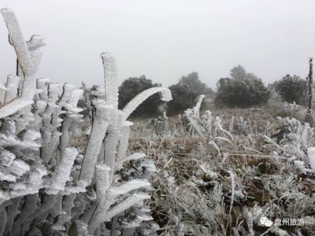 冰雪秦岭梦幻般的世界,乌蒙仙境风景