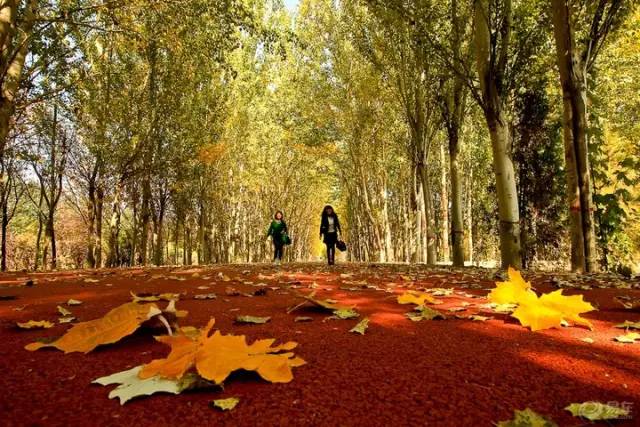 冬天银川一日游必去景点,银川周边一日游最值得玩的地方