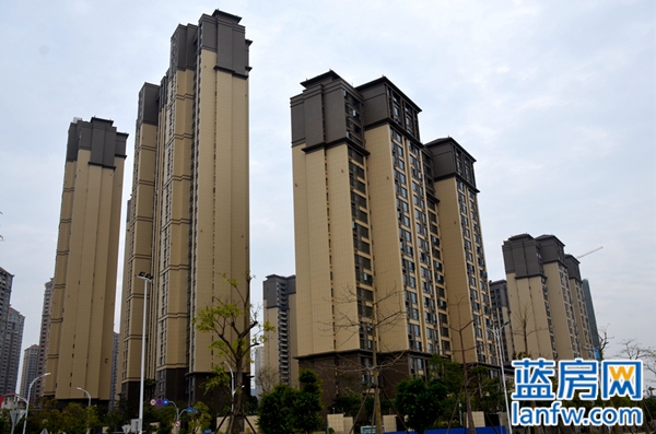 东海湾十二宴一期,东海湾十二宴露台