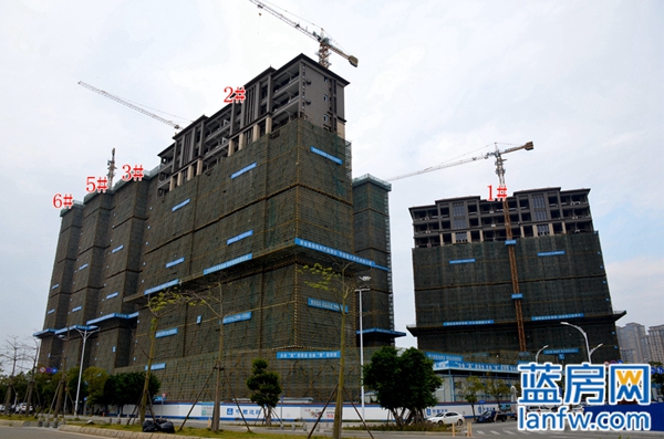 东海湾十二宴一期,东海湾十二宴露台