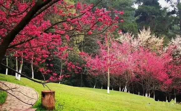 你眼中的你的样子,你眼中的世界什么样