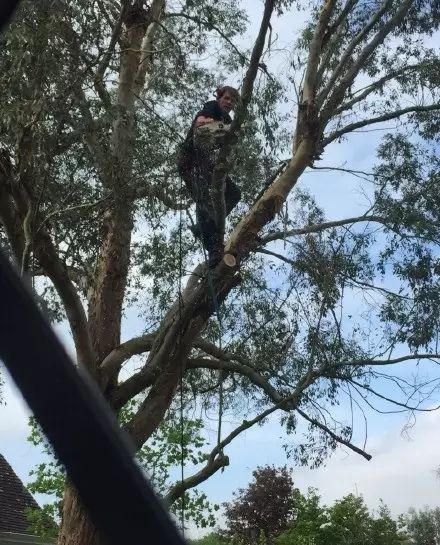 大学“鸡肋”课，上还是不上？