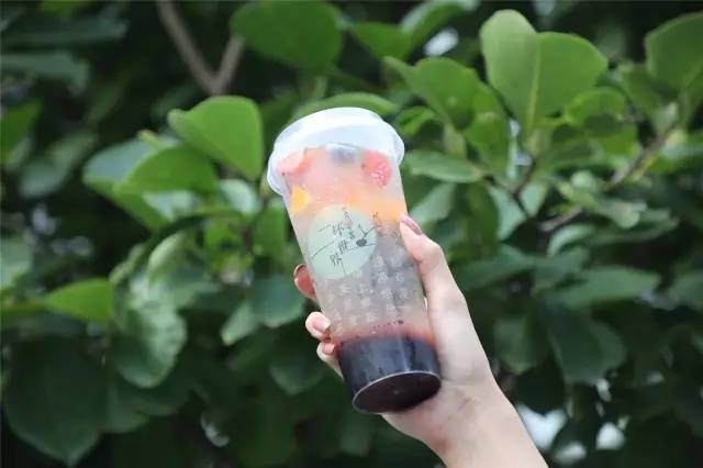 「青粉福利」火遍全国的梵茶免费喝，还不快来！