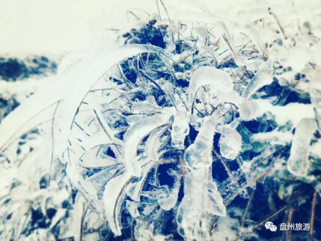 冰雪秦岭梦幻般的世界,乌蒙仙境风景