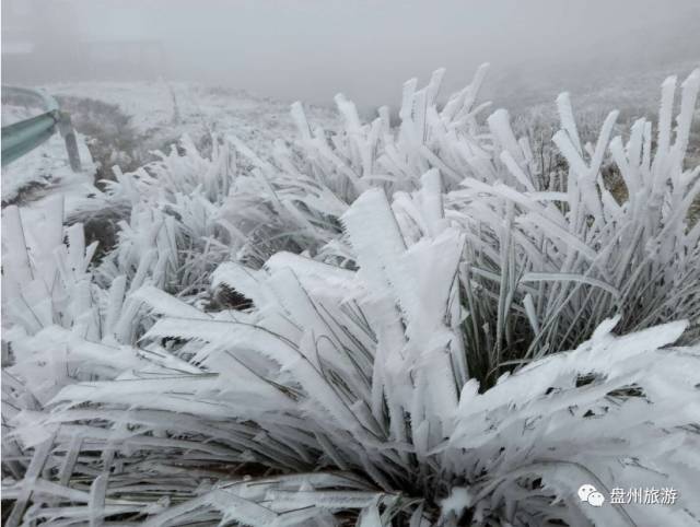 冰雪秦岭梦幻般的世界,乌蒙仙境风景