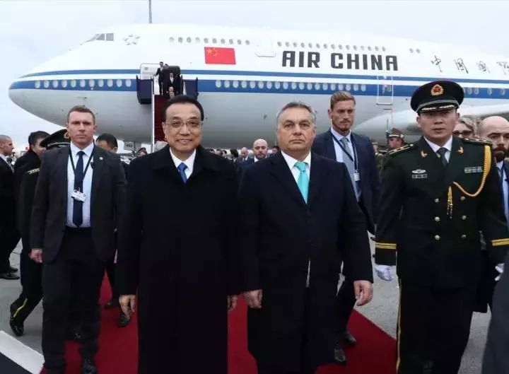 鸿雁知天下,鸿雁知天下最新新闻