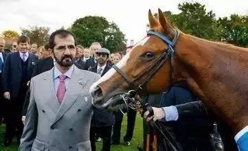 世界上最贵的比赛奖金,全世界最贵的一场速度比赛