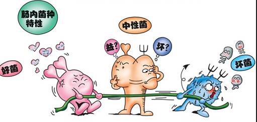 几乎无所不能的益生菌,不是所有的益生菌都是好的