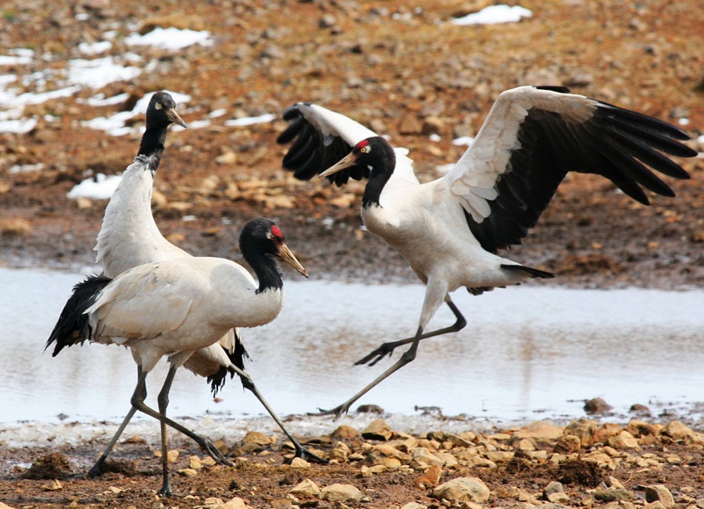 袁文康带你游:不丹究竟多幸福!