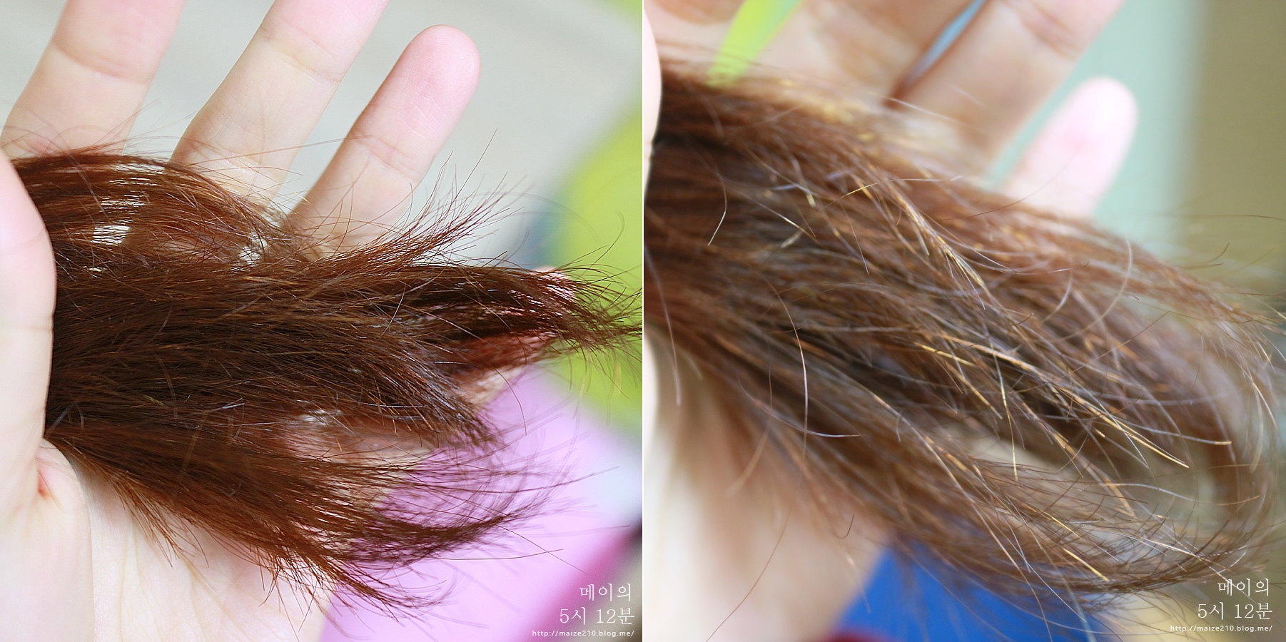 洗发水哪一款值得推荐,男士洗发水第一名