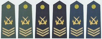 中国人民解放军现行军官军衔分类,解放军军官的军衔与职务