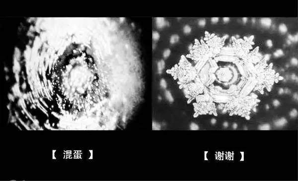 对孩子赞美的正确方法,如何更好的赞美孩子