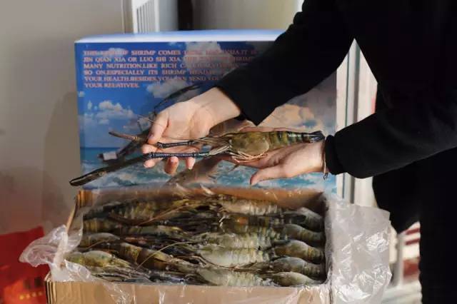 一元的提拉米苏,正宗俄罗斯风味奶油千层提拉米苏