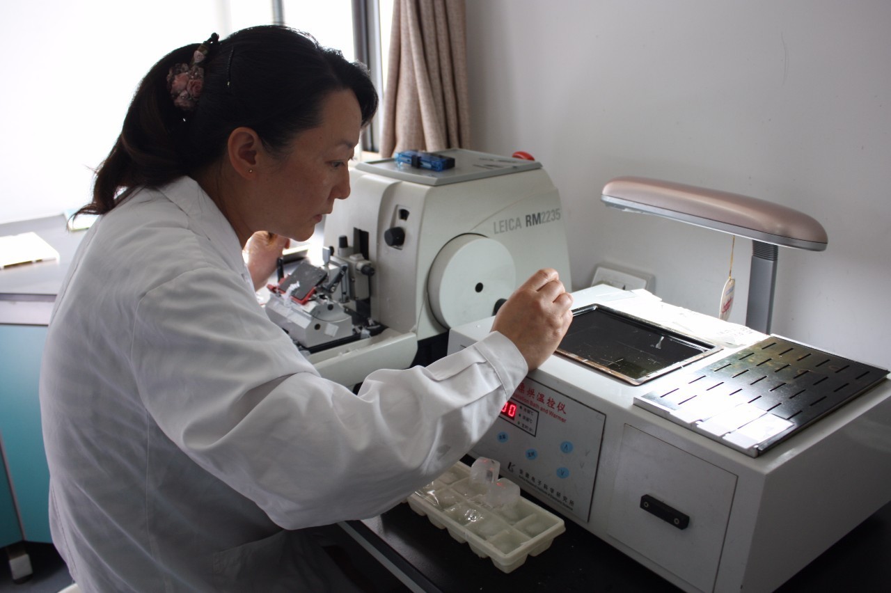 比儿科更缺人！病理人才全线告急