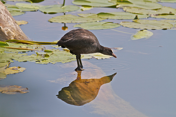 如何跟自恋型人格的女生相处,特别自恋的男人要怎么相处