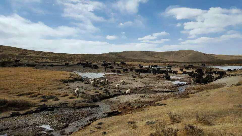 有人你|醉美三江源，最美瀞度人