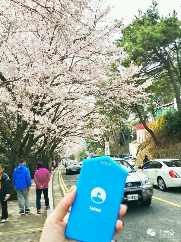 全世界旅游最安全的十大国家,全球最安全的旅游目的地有哪些