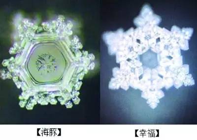 对孩子赞美的正确方法,如何更好的赞美孩子