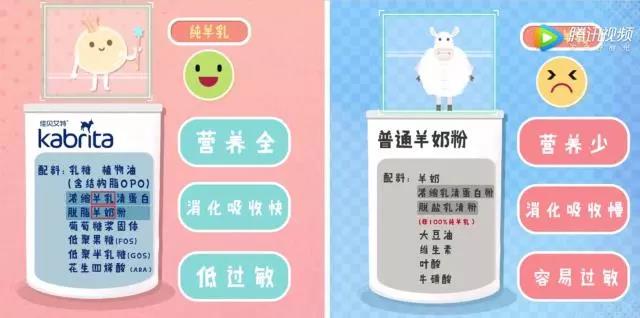 奶羊和奶牛产奶是一样的吗,为什么羊和牛会产奶