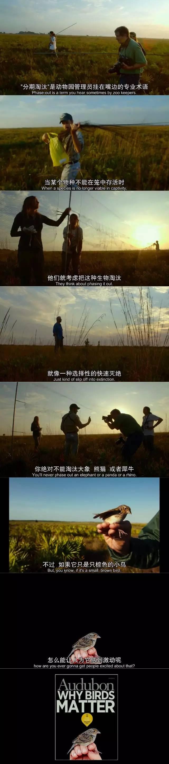 推荐｜《竞相灭绝》：与物种灭绝竞速的死亡赛跑