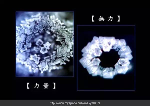 对孩子赞美的正确方法,如何更好的赞美孩子