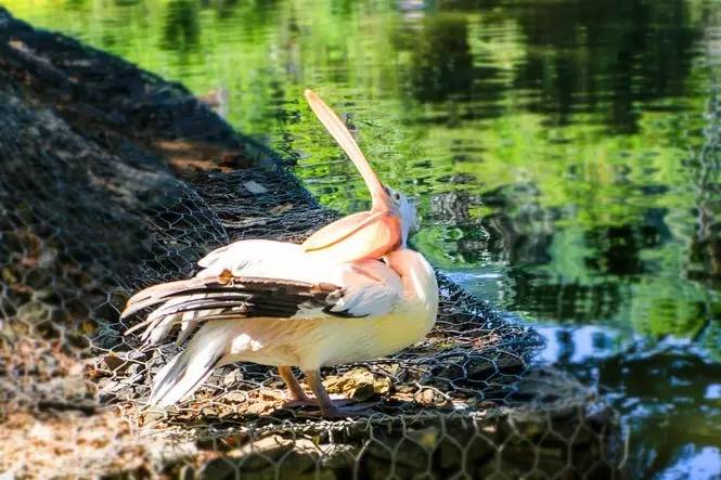 往返二张机票,往返机票去云南和西双版纳