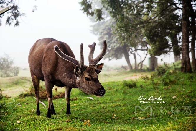 往返二张机票,往返机票去云南和西双版纳