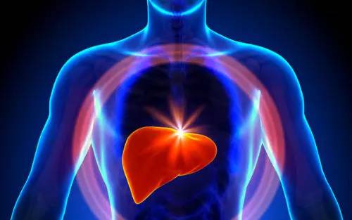 间充质干细胞治疗肝病的最新消息,干细胞治肝癌症靠谱吗