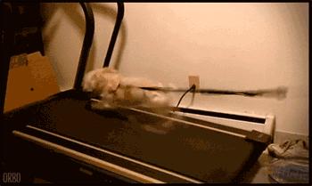 一元的提拉米苏,正宗俄罗斯风味奶油千层提拉米苏