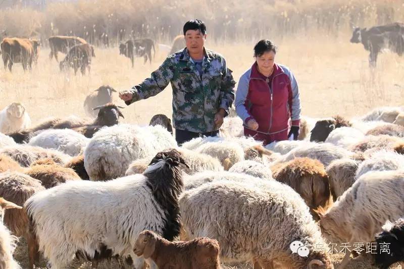 五十年后喜相逢,五十年后的喜相逢