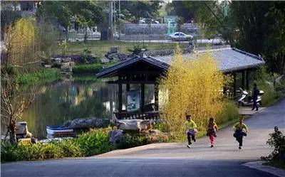 有点屌！南宁各城区竟靠它称霸武林