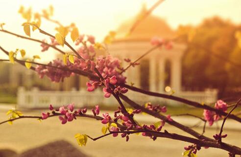 江苏新东方西点烹饪学校,新东方烹饪学校学西餐好不好
