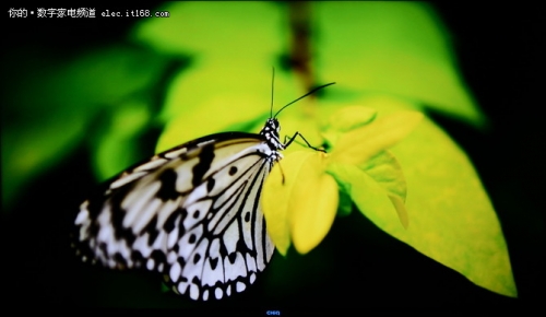 长虹chiq电视8k和4k优势,长虹电视55寸q8t评测