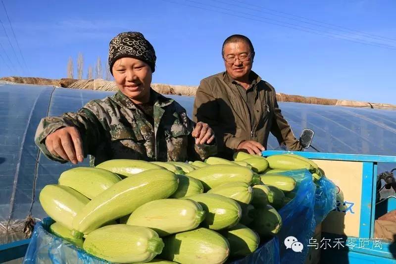 五十年后喜相逢,五十年后的喜相逢
