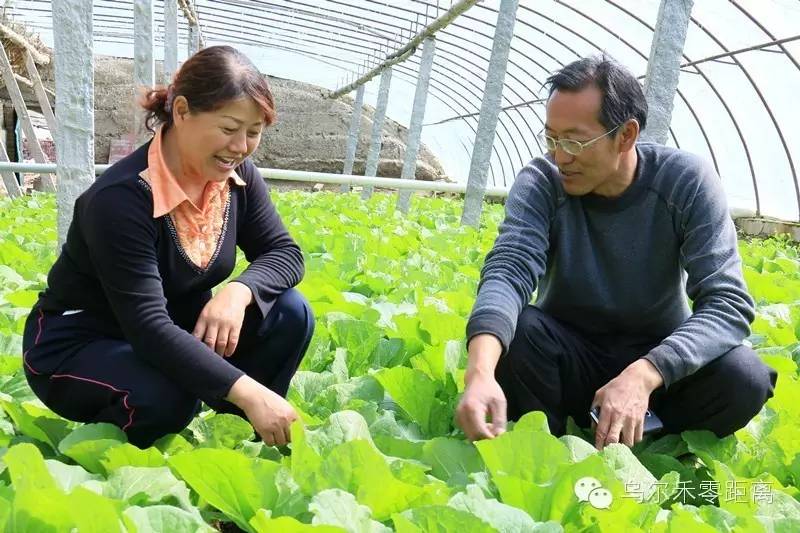 五十年后喜相逢,五十年后的喜相逢