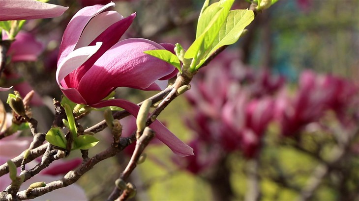 佳能eos80d拍照怎么样,七年前的佳能eos80d相机值得入手