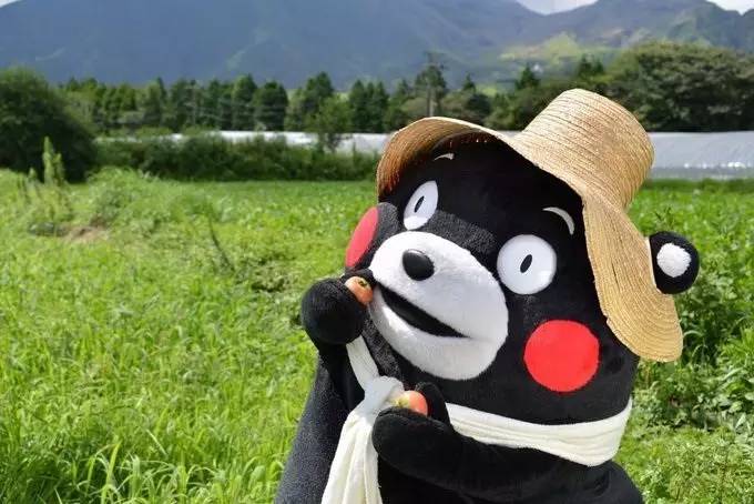 怎么辨别真假水果筐,如何辨别水果好坏