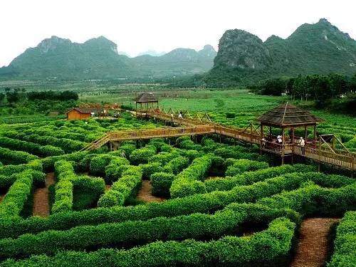 有点屌！南宁各城区竟靠它称霸武林