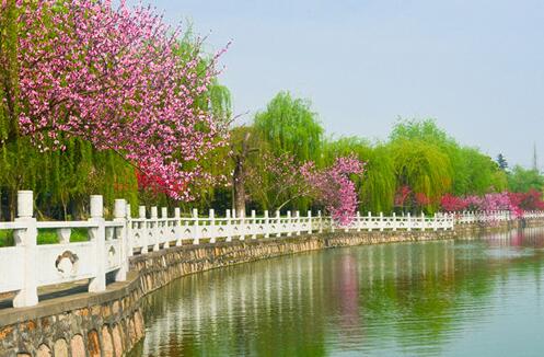 江苏新东方西点烹饪学校,新东方烹饪学校学西餐好不好