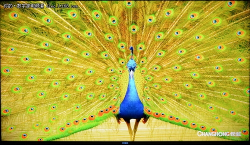 长虹chiq电视8k和4k优势,长虹电视55寸q8t评测