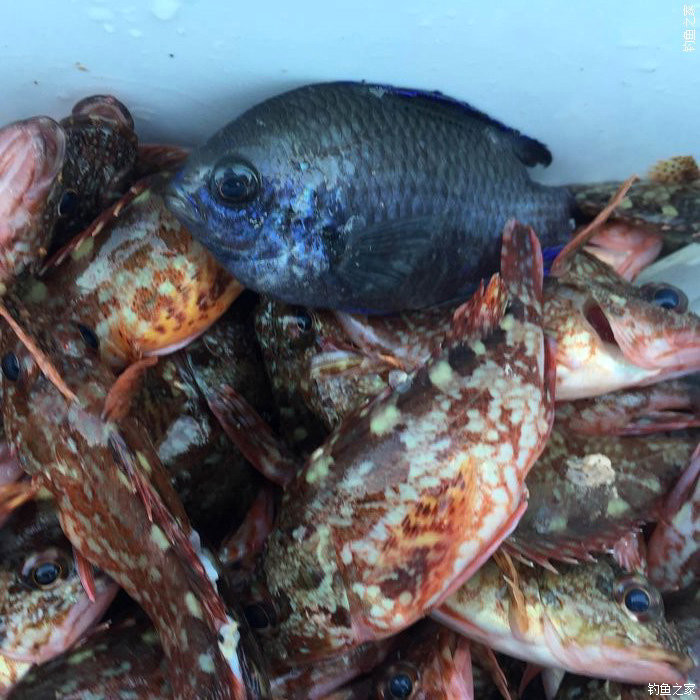 东征西讨和南征北讨,东征西讨南伐大漠