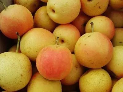 辽宁省特产别的省份吃不到的,辽宁的十大特色水果