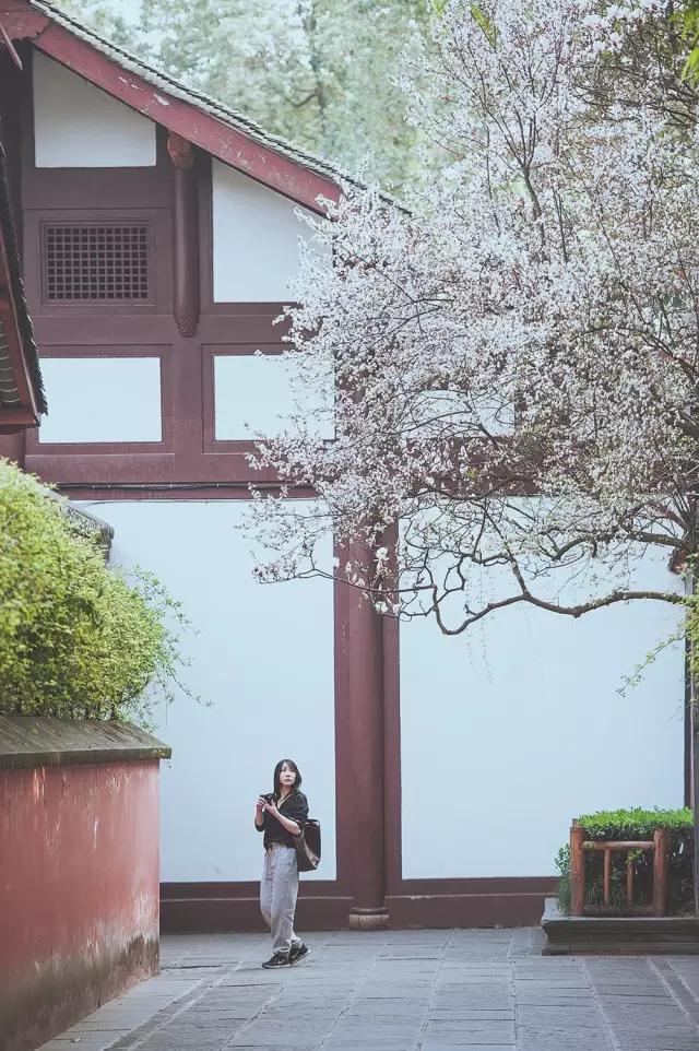 他在这里盖房子时,日本人还没学会唐风