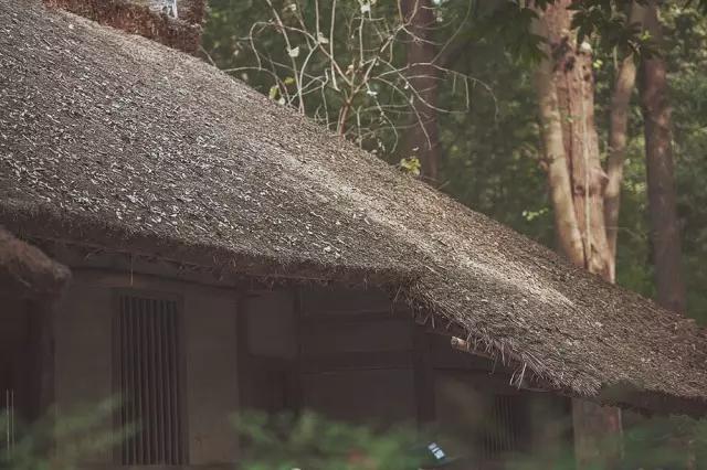 他在这里盖房子时,日本人还没学会唐风