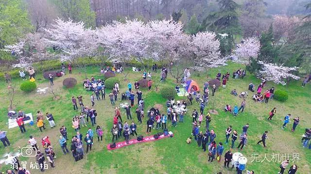 飞手杨泽宇：用无人机做全景漫游系统两天超过25000人访问