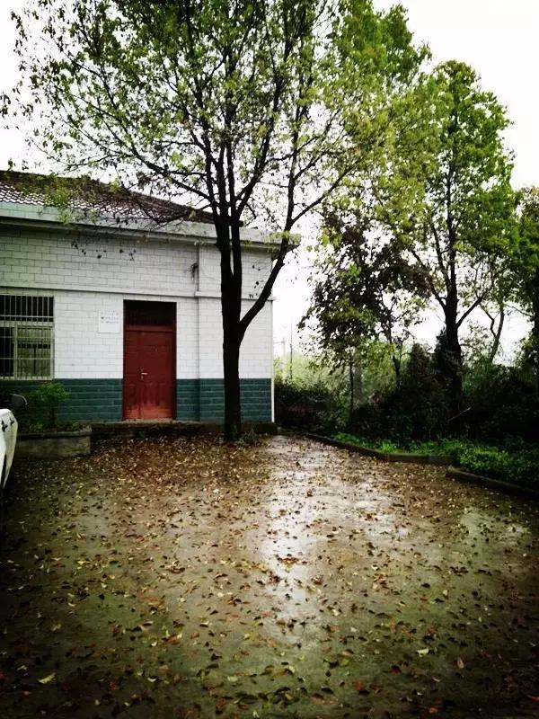 铜陵这里怎么会有金色的河流，惊呆了！