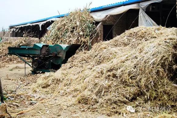 适合农村创业的小本点子,12个适合农村创业的小本项目